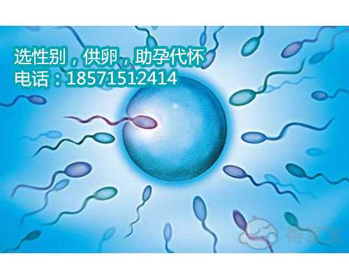 麦肯锡国际健康管理（北京）有限公司服务介绍:北京代孕公司哪家比较靠谱