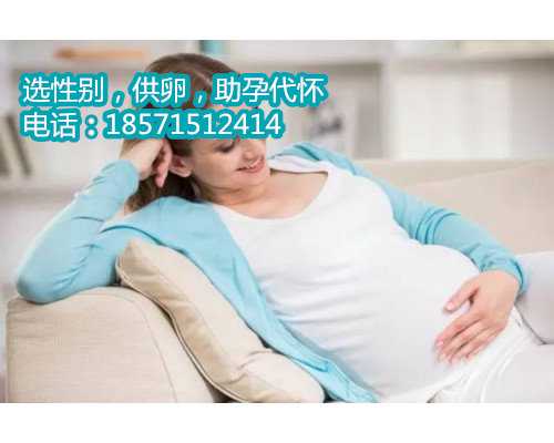 北京试管婴儿医院治疗对男性有伤害吗:北京代孕试管正规中介排名