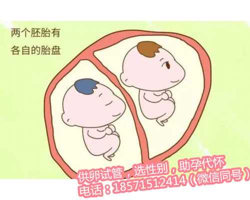 【北京供卵试管哪家医院好】分享我的坑妈神娃（上）:北京供卵和捐卵
